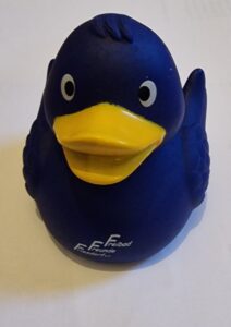 Enten eingeflogen !